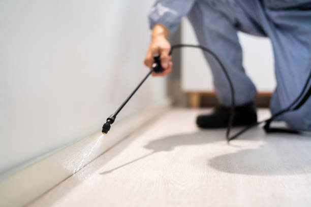 Bed Bug Pre-Treatment Preparation Assessment in Garberville