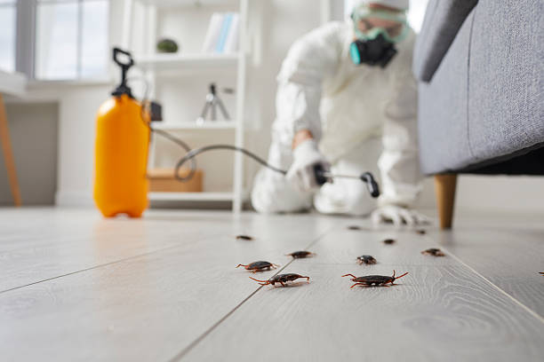 Post-Treatment Bed Bug Interceptor Monitoring in Garberville
