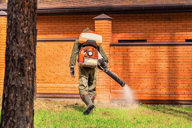 Bed Bug Clearance Verification and Documentation in Garberville